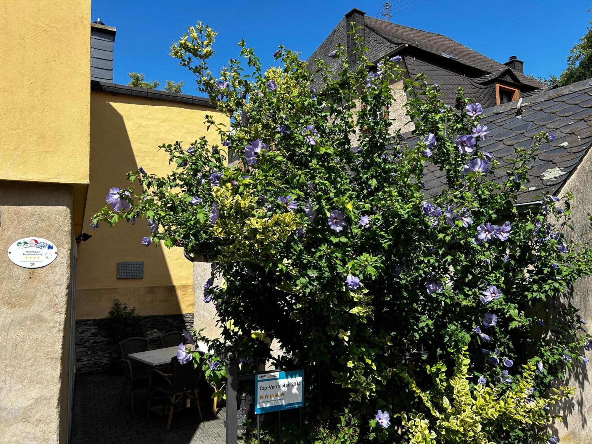Ferienhaus Ausonius Neumagen-Dhron Exterior photo